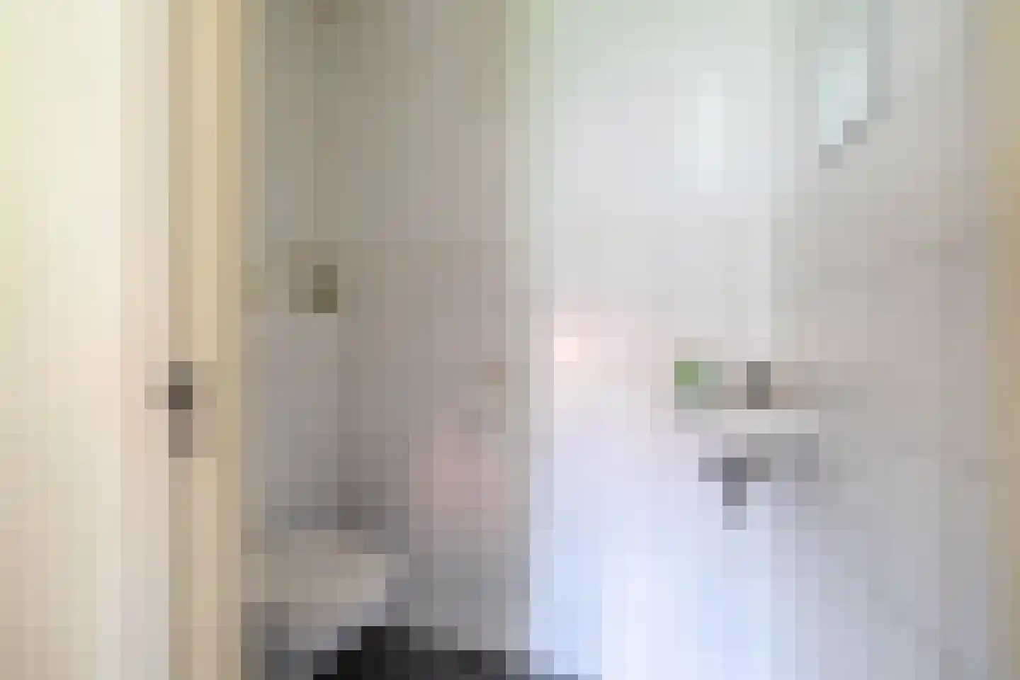Meester Wijmaweg 3 Bantega thumbnail 43