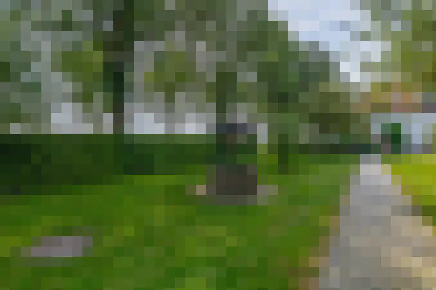 Meester Wijmaweg 3 Bantega thumbnail 65