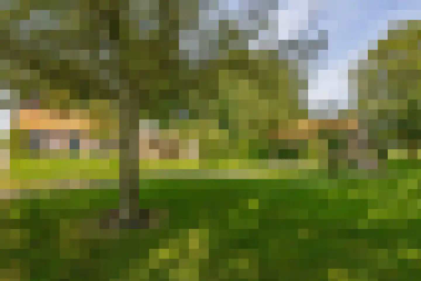 Meester Wijmaweg 3 Bantega thumbnail 66
