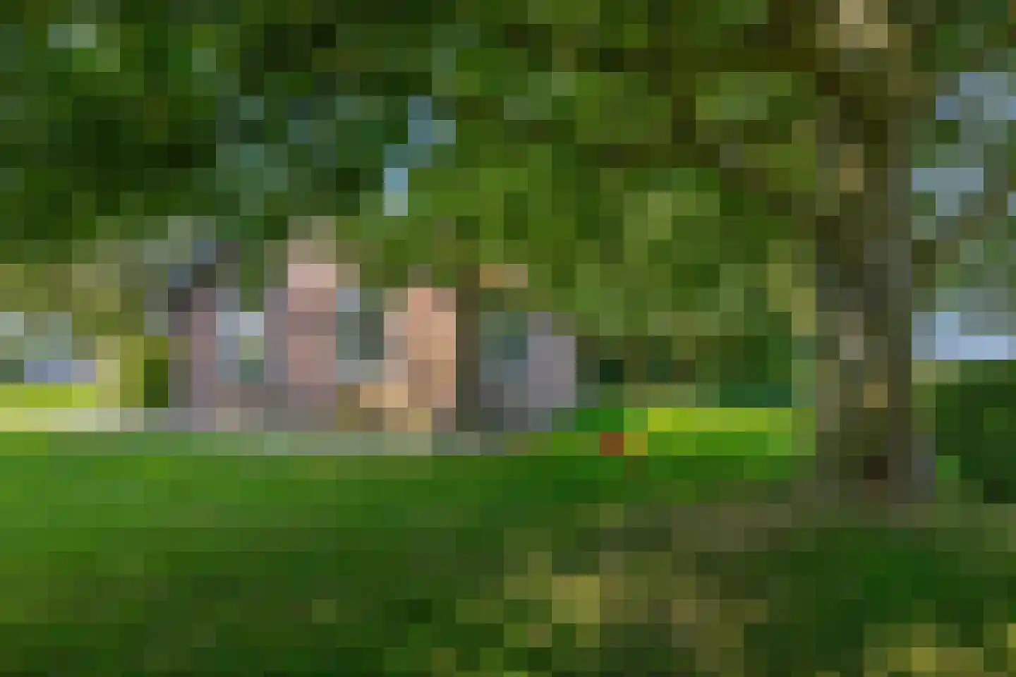 Meester Wijmaweg 3 Bantega thumbnail 69