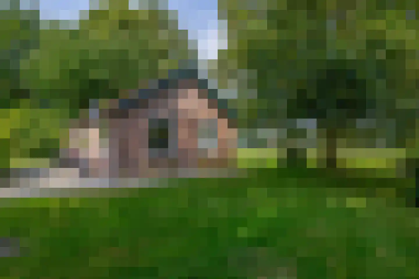 Meester Wijmaweg 3 Bantega thumbnail 70