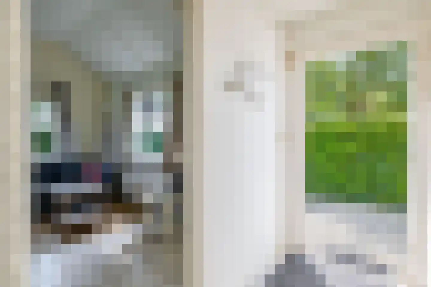 Meester Wijmaweg 3 Bantega thumbnail 71