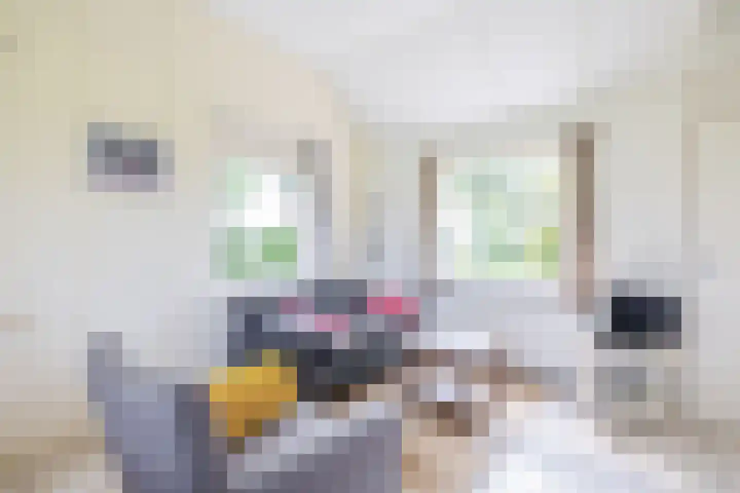 Meester Wijmaweg 3 Bantega thumbnail 72