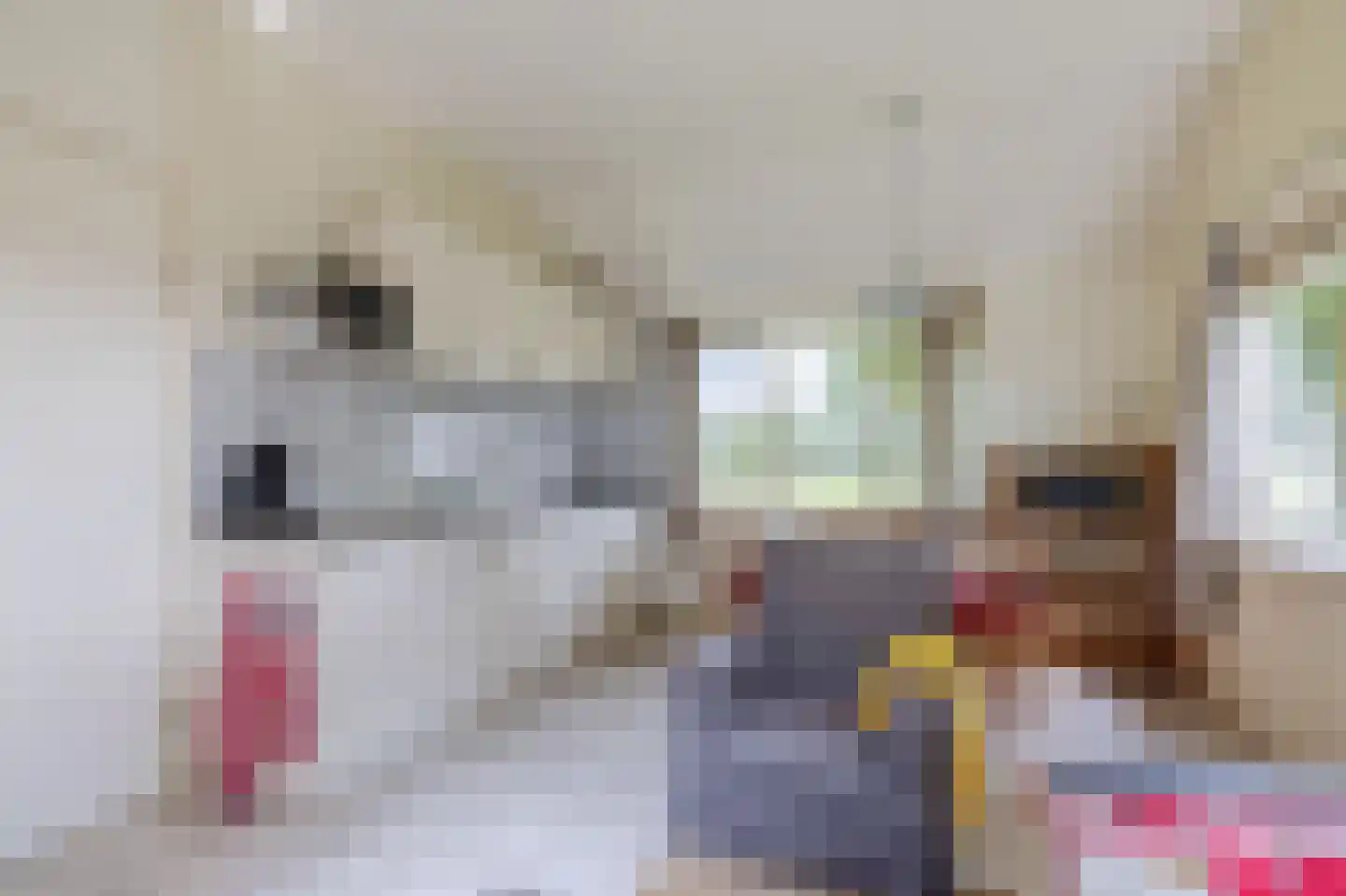 Meester Wijmaweg 3 Bantega thumbnail 73
