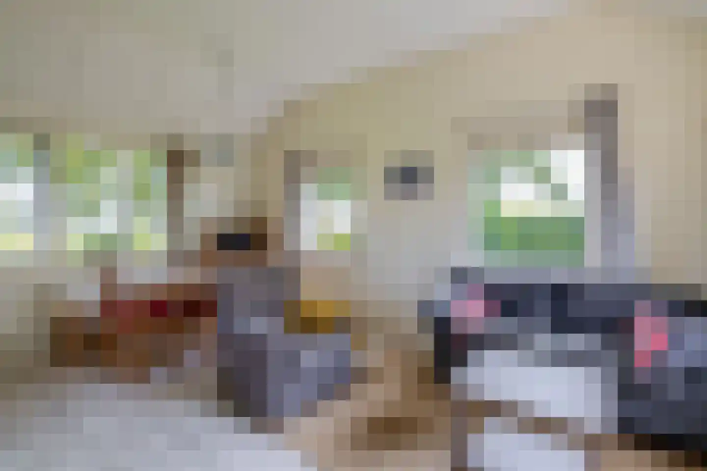 Meester Wijmaweg 3 Bantega thumbnail 74