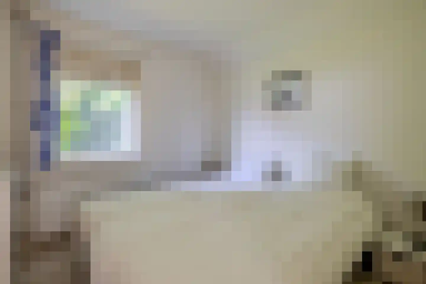 Meester Wijmaweg 3 Bantega thumbnail 75