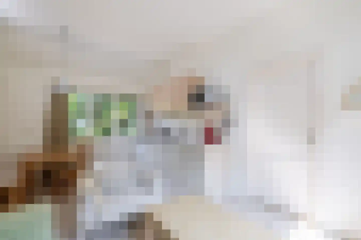 Meester Wijmaweg 3 Bantega thumbnail 84