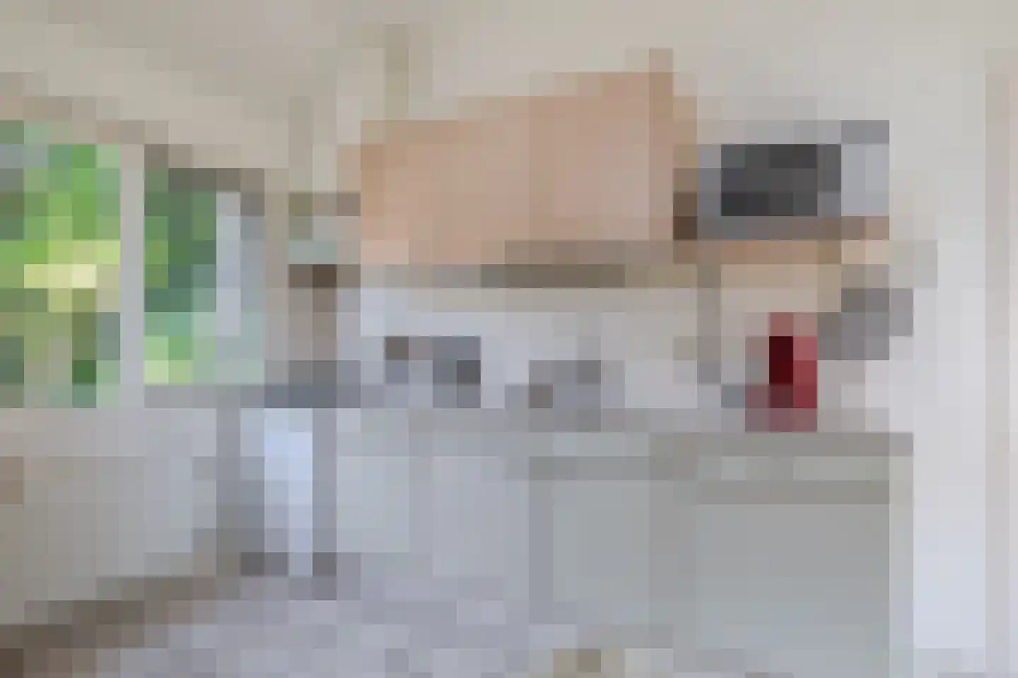 Meester Wijmaweg 3 Bantega thumbnail 86