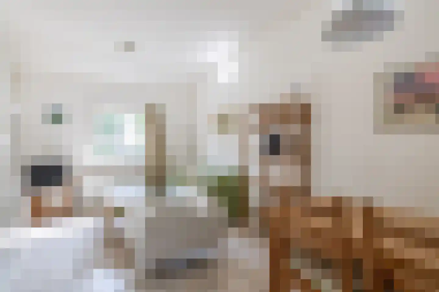 Meester Wijmaweg 3 Bantega thumbnail 87