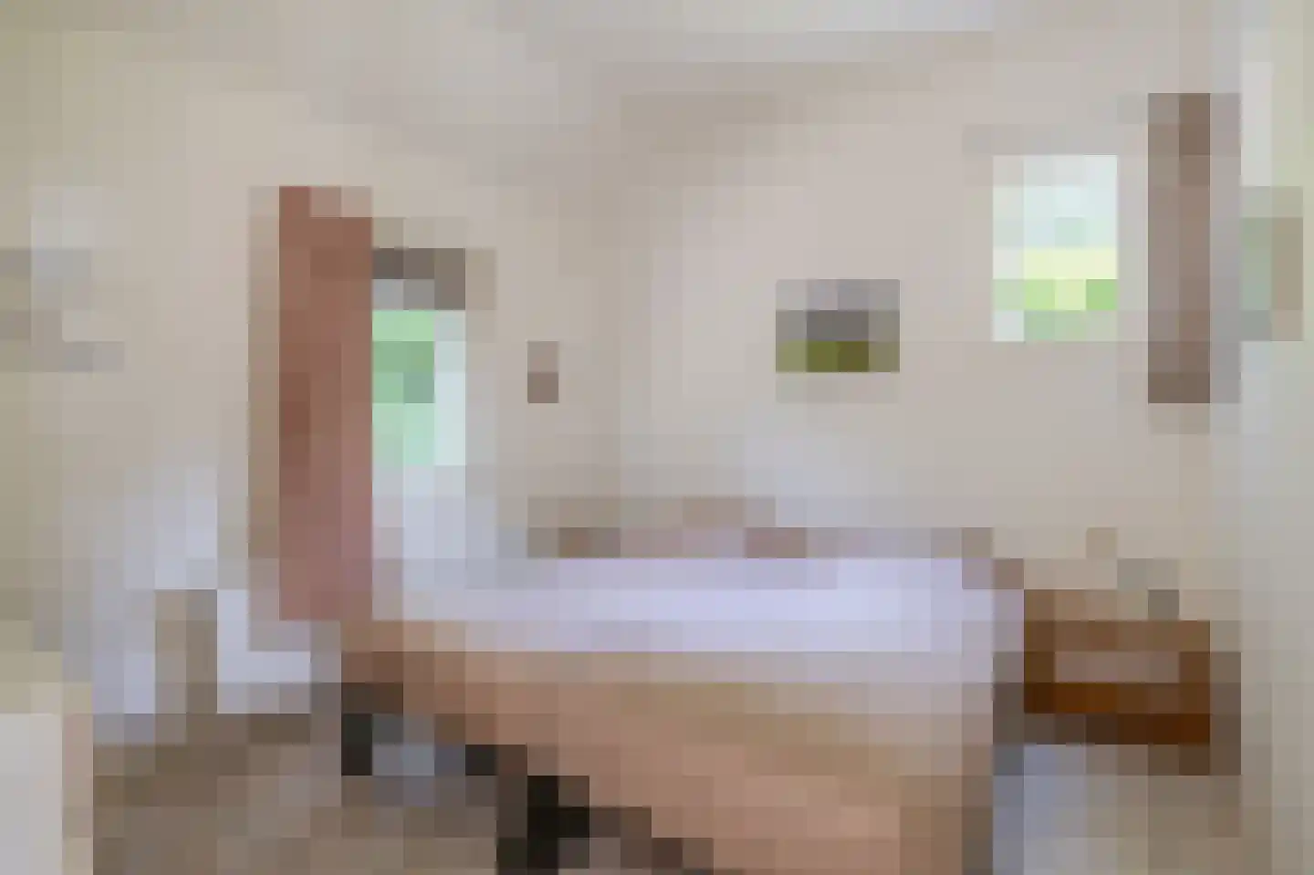 Meester Wijmaweg 3 Bantega thumbnail 90