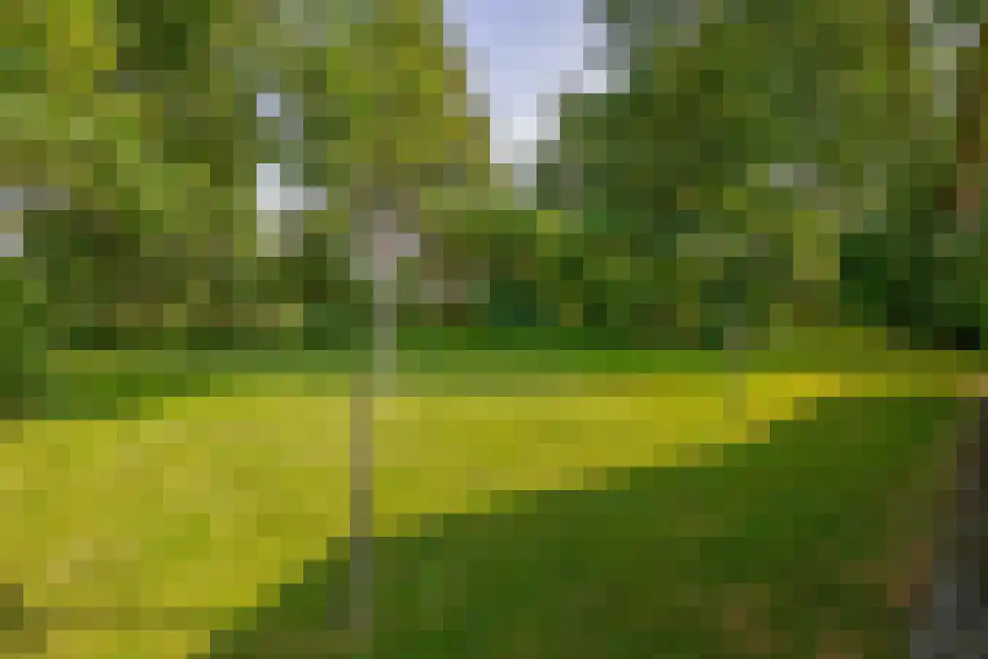 Meester Wijmaweg 3 Bantega thumbnail 97