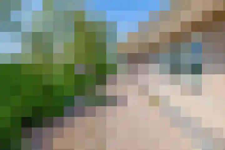 Meester Wijmaweg 7 Bantega thumbnail 21
