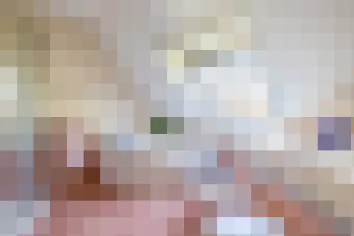 Meester Wijmaweg 7 Bantega thumbnail 26