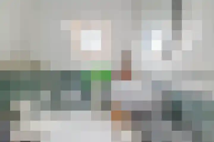 Meester Wijmaweg 7 Bantega thumbnail 31