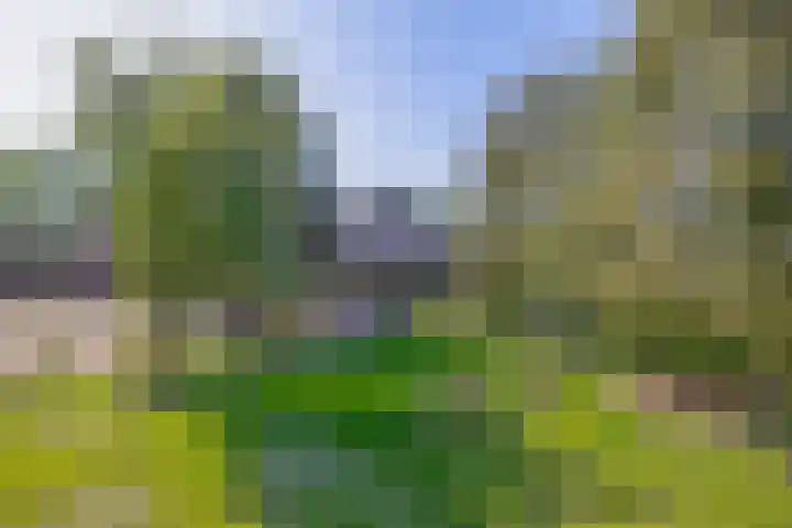 Meester Wijmaweg 7 Bantega thumbnail 34