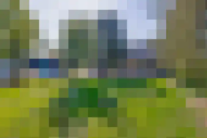 Meester Wijmaweg 7 Bantega thumbnail 37