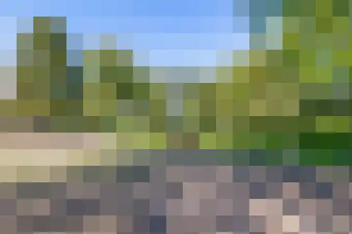 Meester Wijmaweg 7 Bantega thumbnail 38