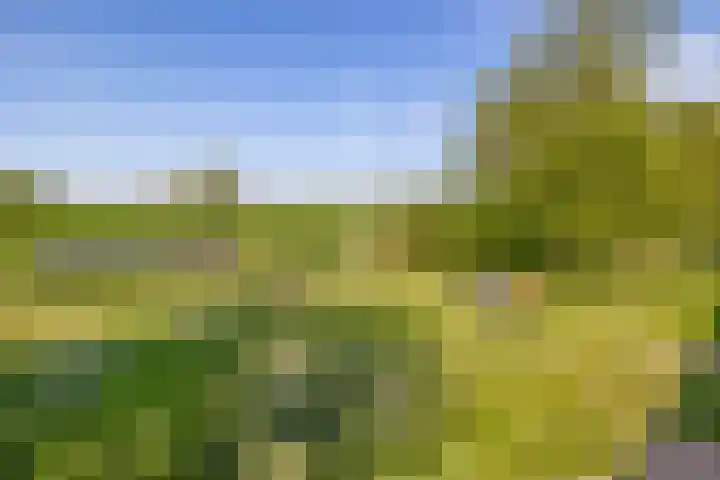 Meester Wijmaweg 7 Bantega thumbnail 39