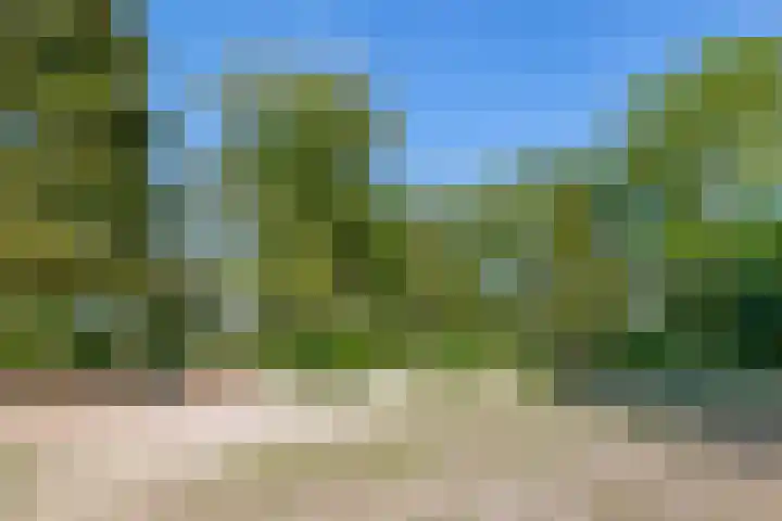Meester Wijmaweg 7 Bantega thumbnail 40