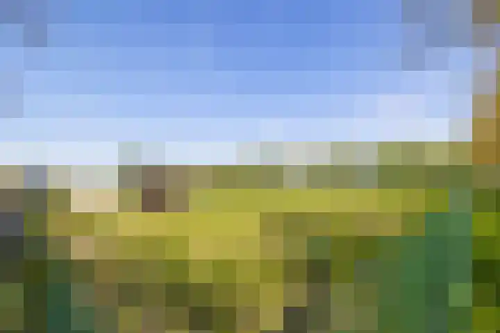 Meester Wijmaweg 7 Bantega thumbnail 41