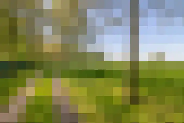 Meester Wijmaweg 7 Bantega thumbnail 42