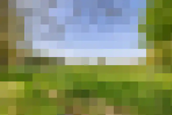 Meester Wijmaweg 7 Bantega thumbnail 43