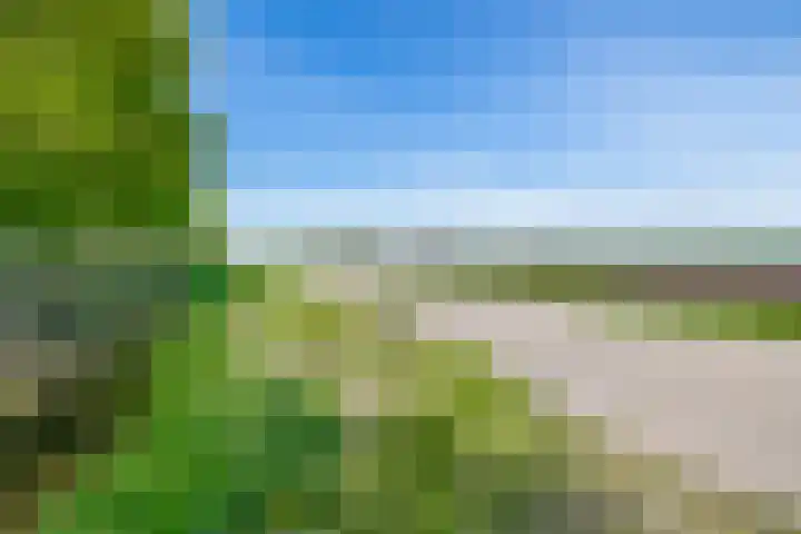 Meester Wijmaweg 7 Bantega thumbnail 44