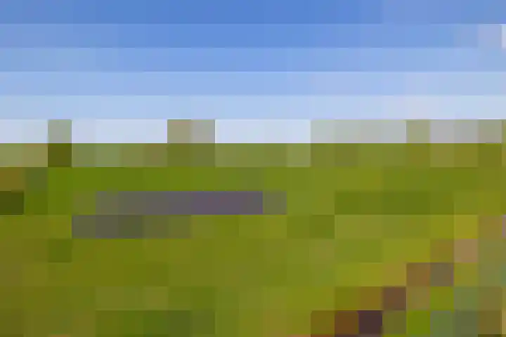 Meester Wijmaweg 7 Bantega thumbnail 5