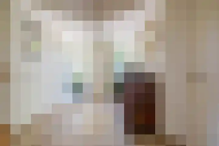 Meester Wijmaweg 7 Bantega thumbnail 7