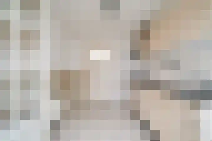 Meester Willemsenstraat 4 Giesbeek thumbnail 11