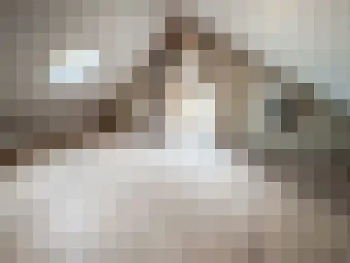 Meester Willemsenstraat 4 Giesbeek thumbnail 28