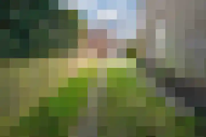 Meester Willemsenstraat 4 Giesbeek thumbnail 36