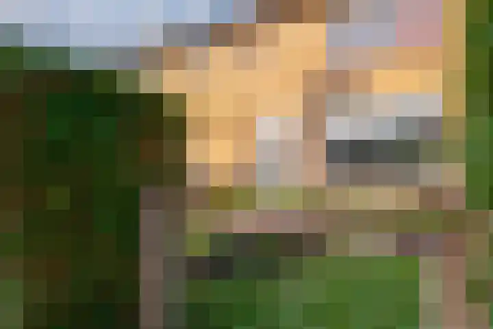 Meester Willemsenstraat 4 Giesbeek thumbnail 4