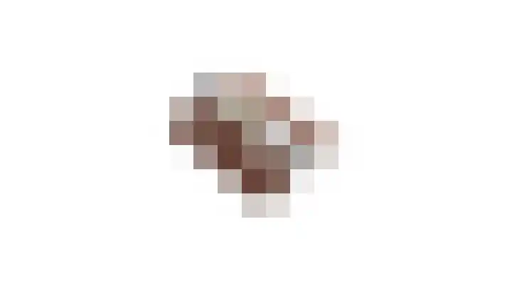 Meester Willemsenstraat 4 Giesbeek thumbnail 48