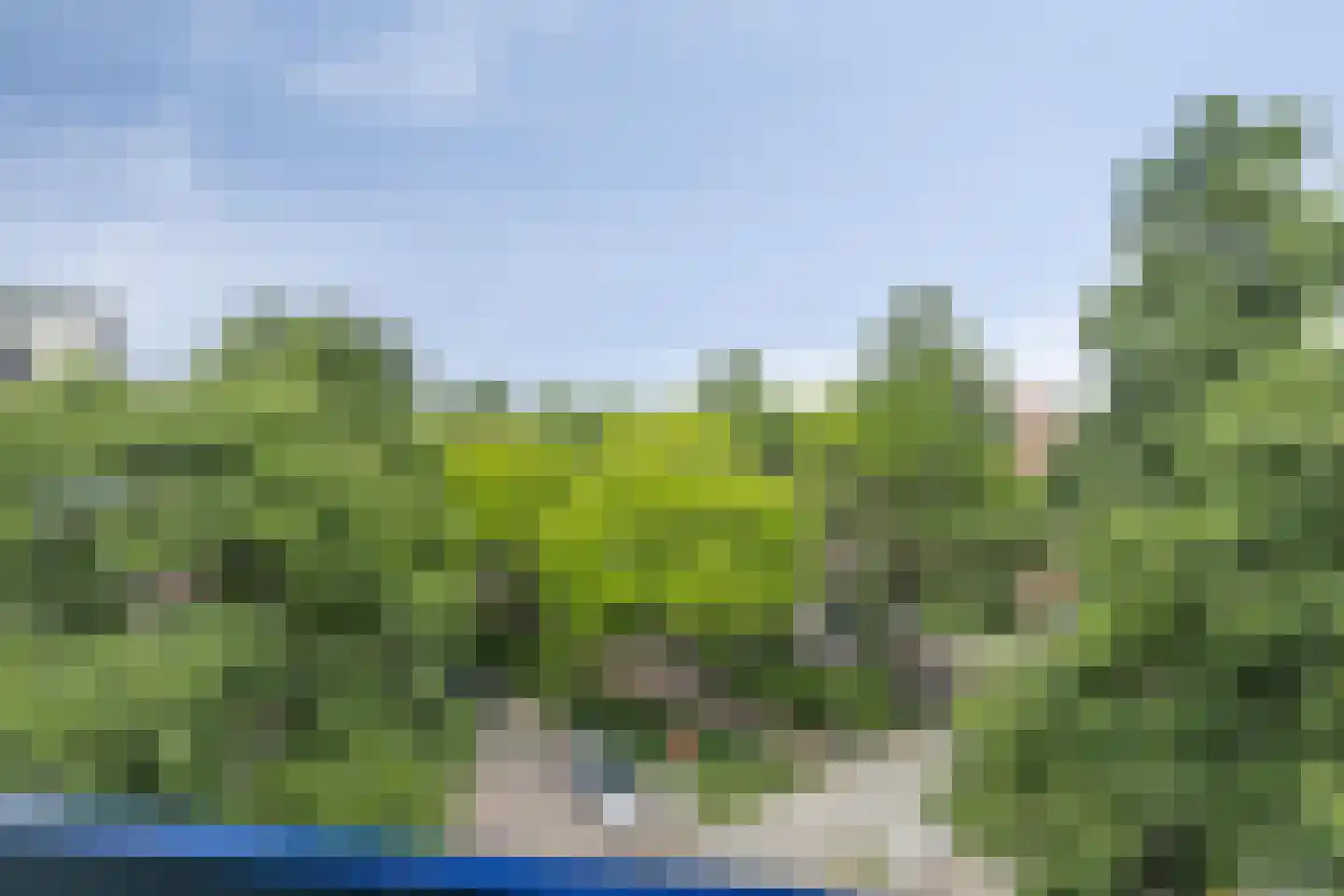 Meester Willemstraat 10 Rotterdam thumbnail 18