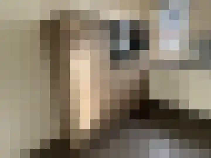 Meesterhof 3 Etten-Leur thumbnail 10
