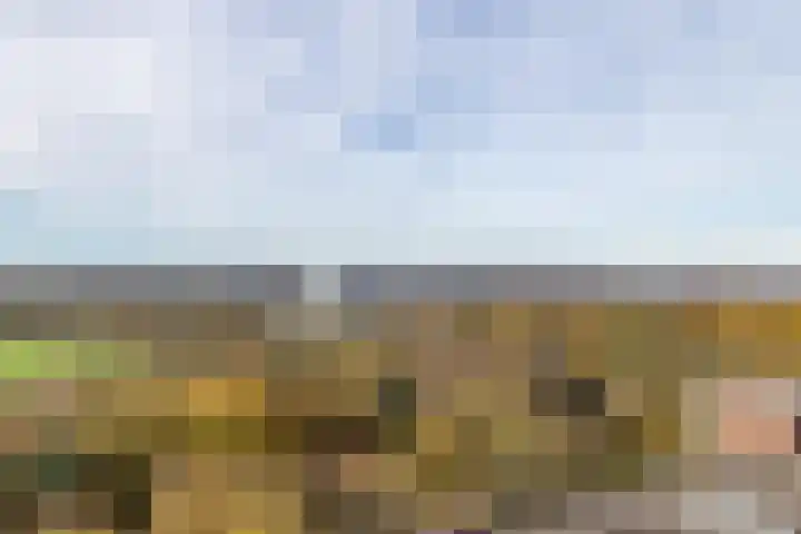 Meesterhof 3 Etten-Leur thumbnail 20