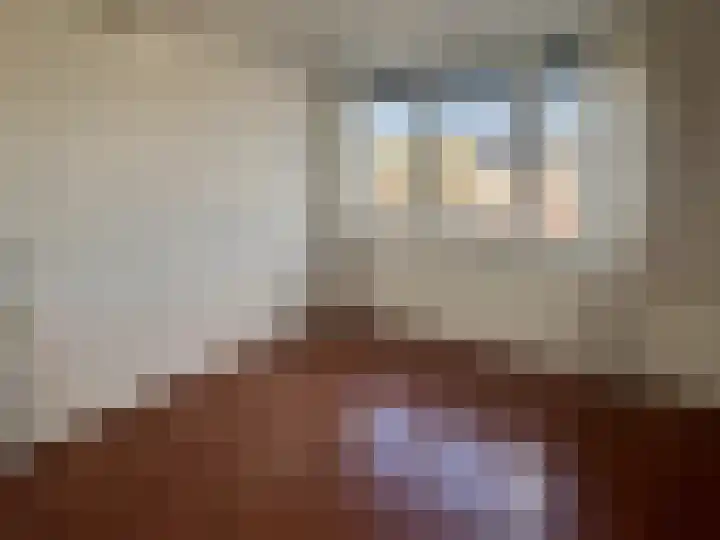 Meesterhof 3 Etten-Leur thumbnail 24