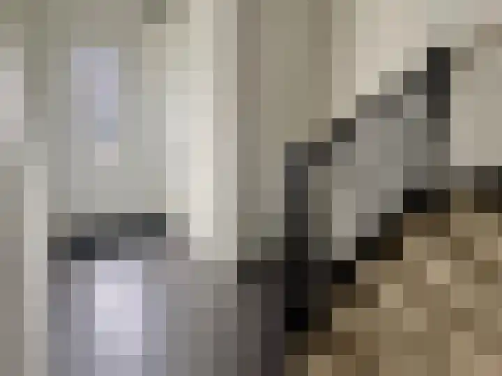 Meesterhof 3 Etten-Leur thumbnail 4