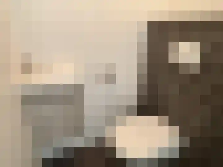 Meesterhof 3 Etten-Leur thumbnail 6