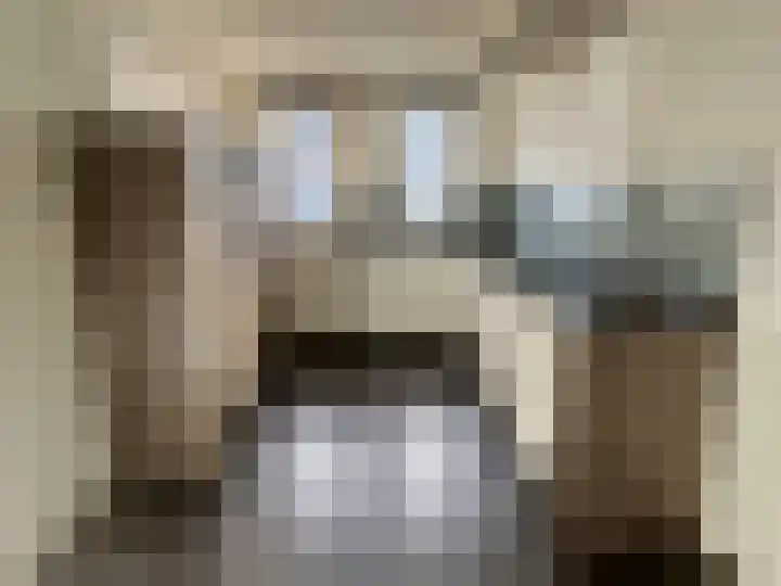 Meesterhof 3 Etten-Leur thumbnail 8