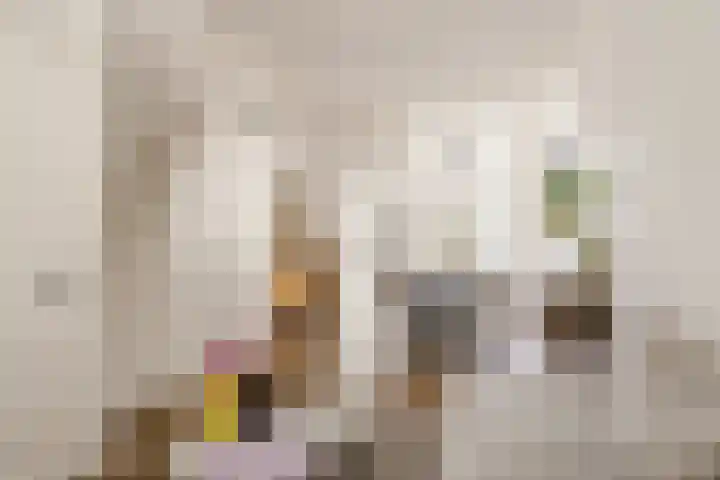 Meesterjoostenlaan 7 Haarlem thumbnail 10
