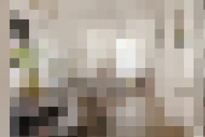 Meesterjoostenlaan 7 Haarlem thumbnail 12