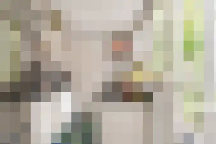 Meesterjoostenlaan 7 Haarlem thumbnail 15