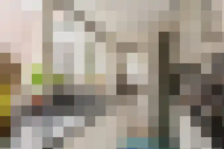 Meesterjoostenlaan 7 Haarlem thumbnail 18
