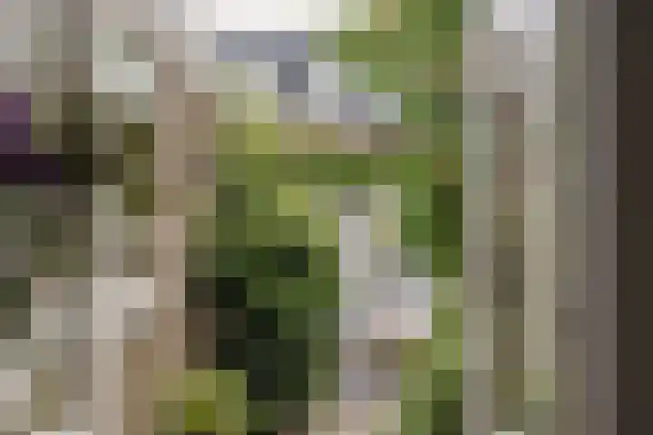 Meesterjoostenlaan 7 Haarlem thumbnail 20