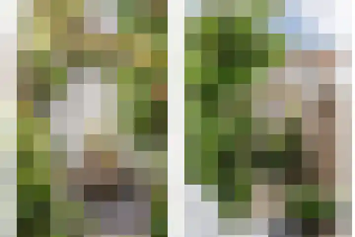 Meesterjoostenlaan 7 Haarlem thumbnail 21