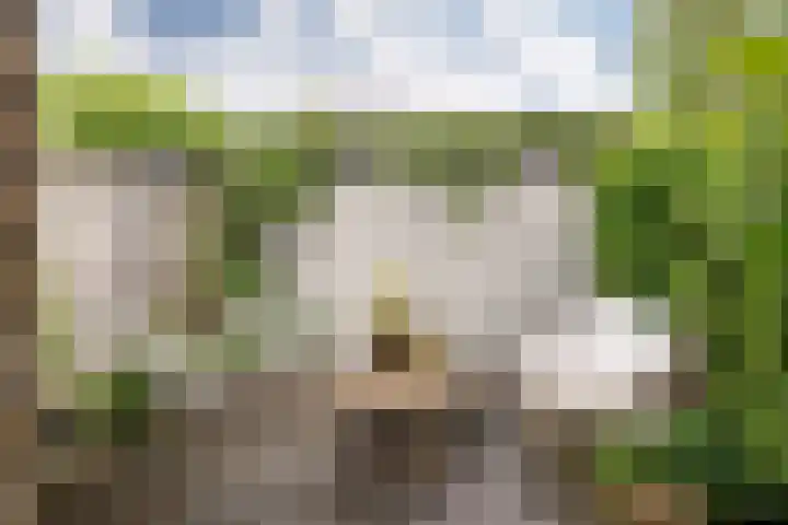 Meesterjoostenlaan 7 Haarlem thumbnail 22