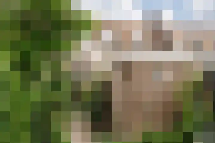 Meesterjoostenlaan 7 Haarlem thumbnail 23