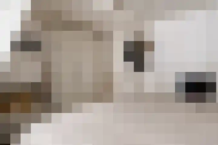 Meesterjoostenlaan 7 Haarlem thumbnail 26